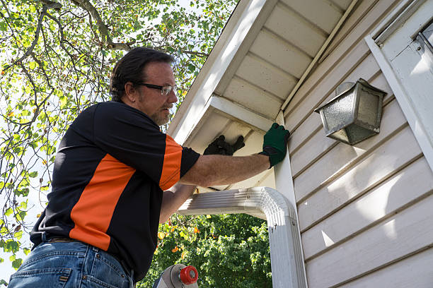 Best Storm Damage Siding Repair  in East Washington, PA